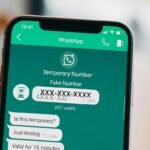 Fake WhatsApp Number