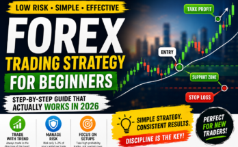 forex trading strategy for beginners
